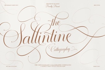 Discover the Sallintine Font for Creative Design Projects